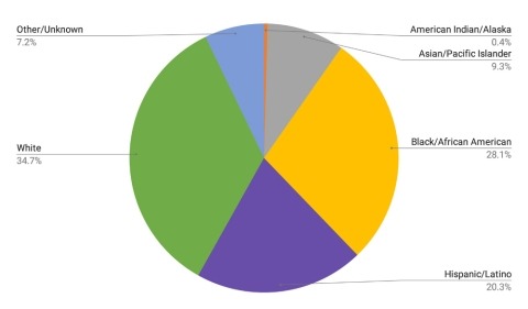 Wisconsin Collaborative for Healthcare Quality Patient Population Race/Ethnicity Distribution chart 