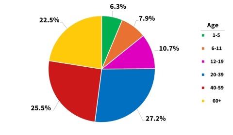 Pie chart showing the age distribution of the NHANES sample across six groups. Adults aged 20–39 represent the largest share at 27.2%, followed by 40–59 at 25.5%, 60 and older at 22.5%, 12–19 at 10.7%, 6–11 at 7.9%, and 1–5 at 6.3%.